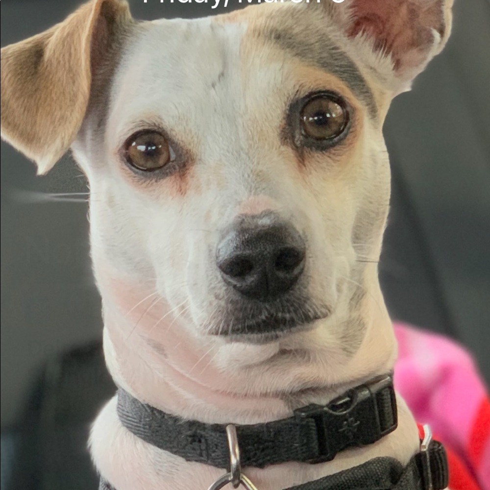 Meet your Posher, Citlalli